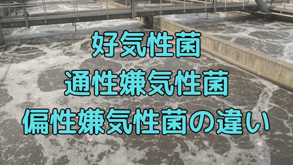 WordPressブログ用アイキャッチ (13)